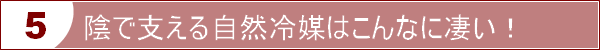 陰で支える自然冷媒はこんなに凄い！